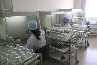 駐馬店地區(qū)考察團(tuán)對西夏王葡萄酒產(chǎn)品質(zhì)量和市場營銷給予了高度評價